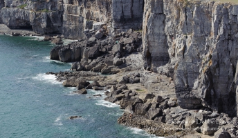 St. Govan's Head, Castlemartin, Pembrokeshire