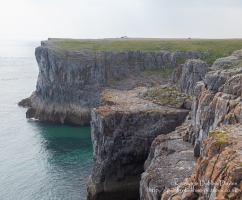 St. Govan's Head, Castlemartin, Pembrokeshire