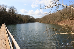 Footbridge over Bosherston Lily Ponds