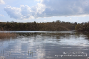 Bosherston Lily Ponds