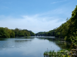 The eight arch bridge at Stackpole Court was built in 1797 to connect the mansion and Home Farm to the New Deer Park and Stackpole Quay. It is built from limestone over a weir.