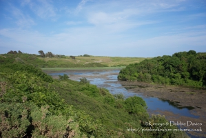 Stackpole Estate, Bosherston Lily Ponds