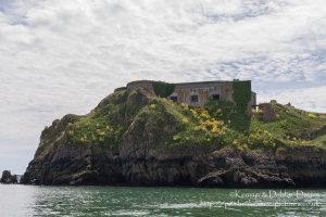 St. Catherine's Fort in Tenby was built in 1867 to prevent Tenby being used as a bridgehead for an attack on the port of Milford Haven. It is currently derellict but has acted as a fort, private dwelling and zoo!