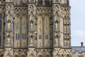 Wells and Wells Cathedral