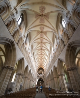 Wells and Wells Cathedral