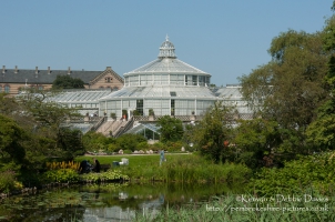 Botanical Garden & Museum, Natural History Museum of Denmark<br/><br/>http://en.wikipedia.org/wiki/University_of_Copenhagen_Botanical_Garden