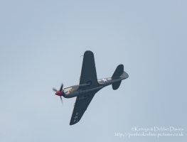 Curtiss P-40 at RAF Cosford Air Show 2015